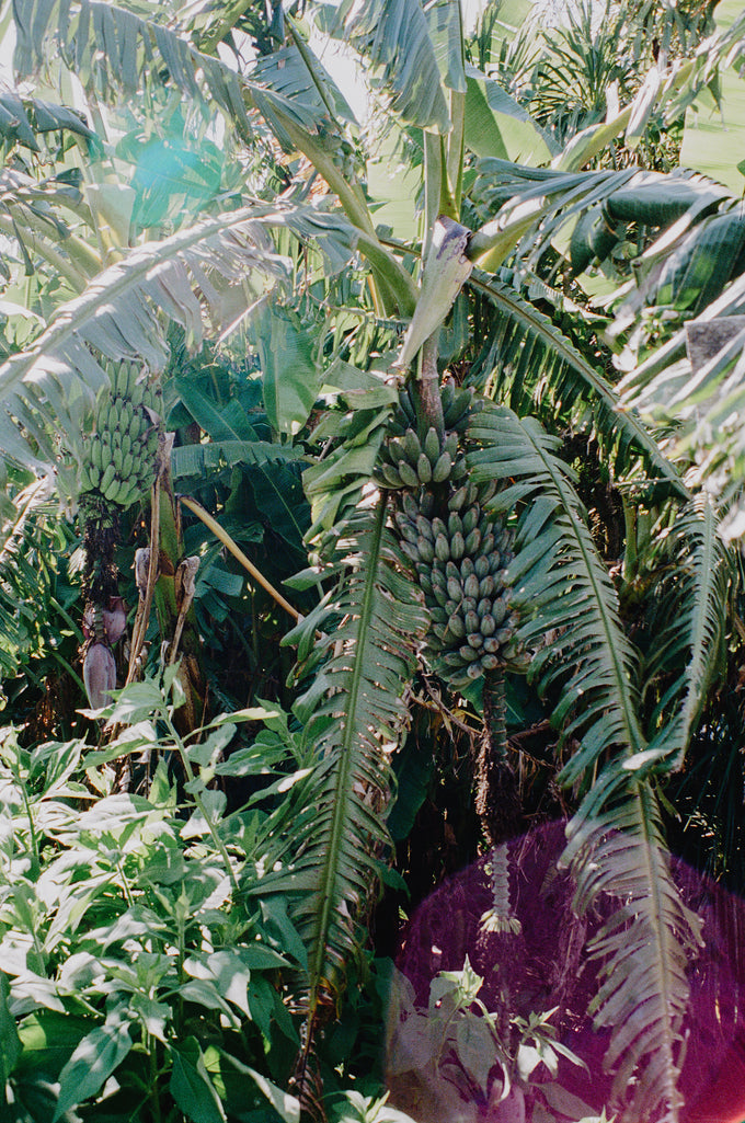 Journal // Kelmarna Community Farm