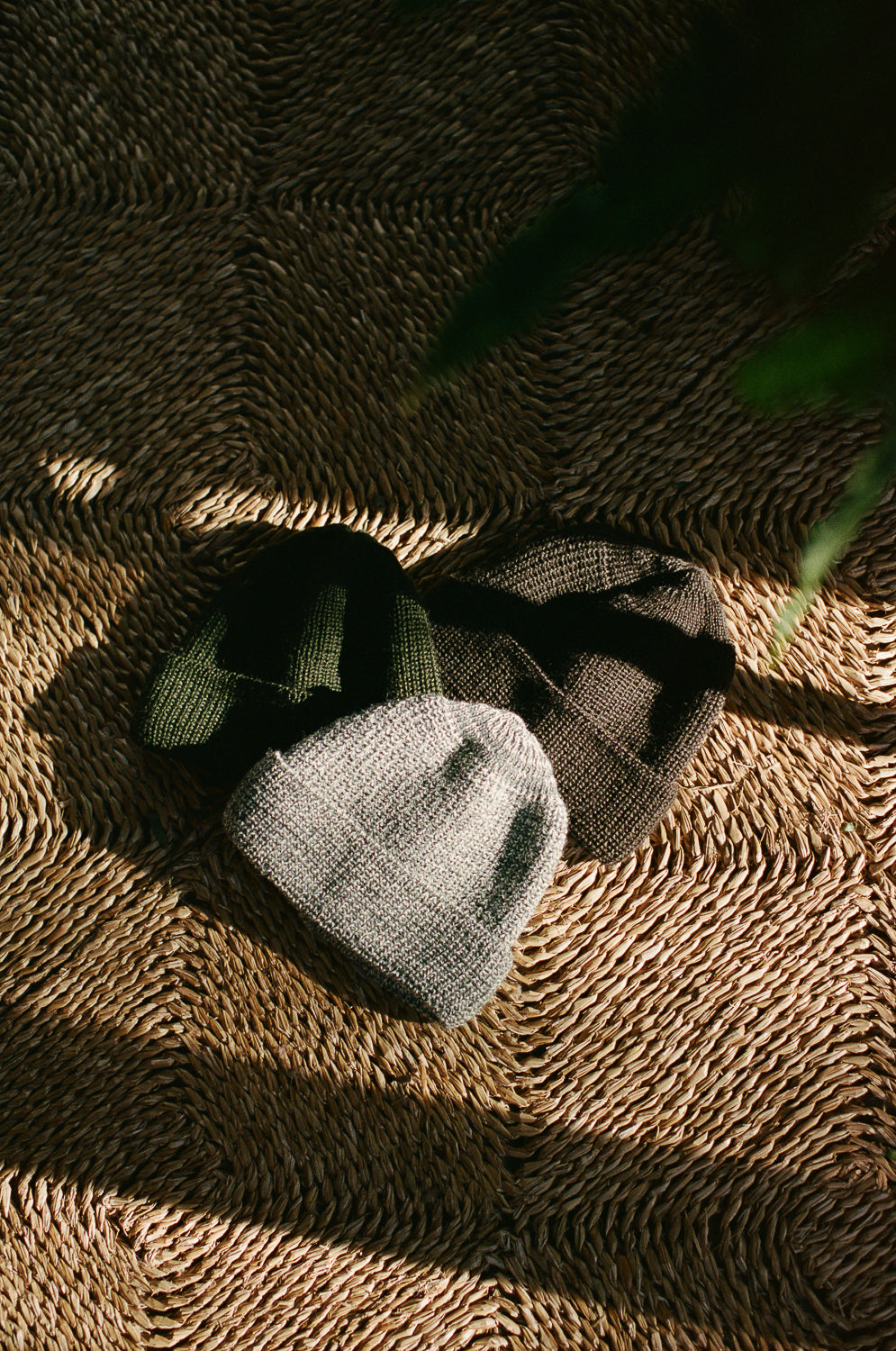 Autumn Winter Comforts
