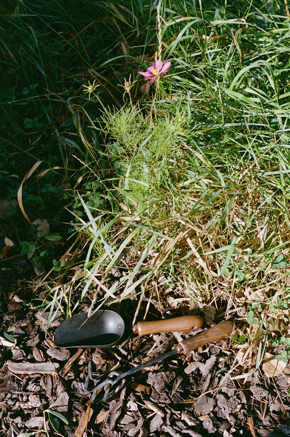 Walnut Cultivator // 4 Prong