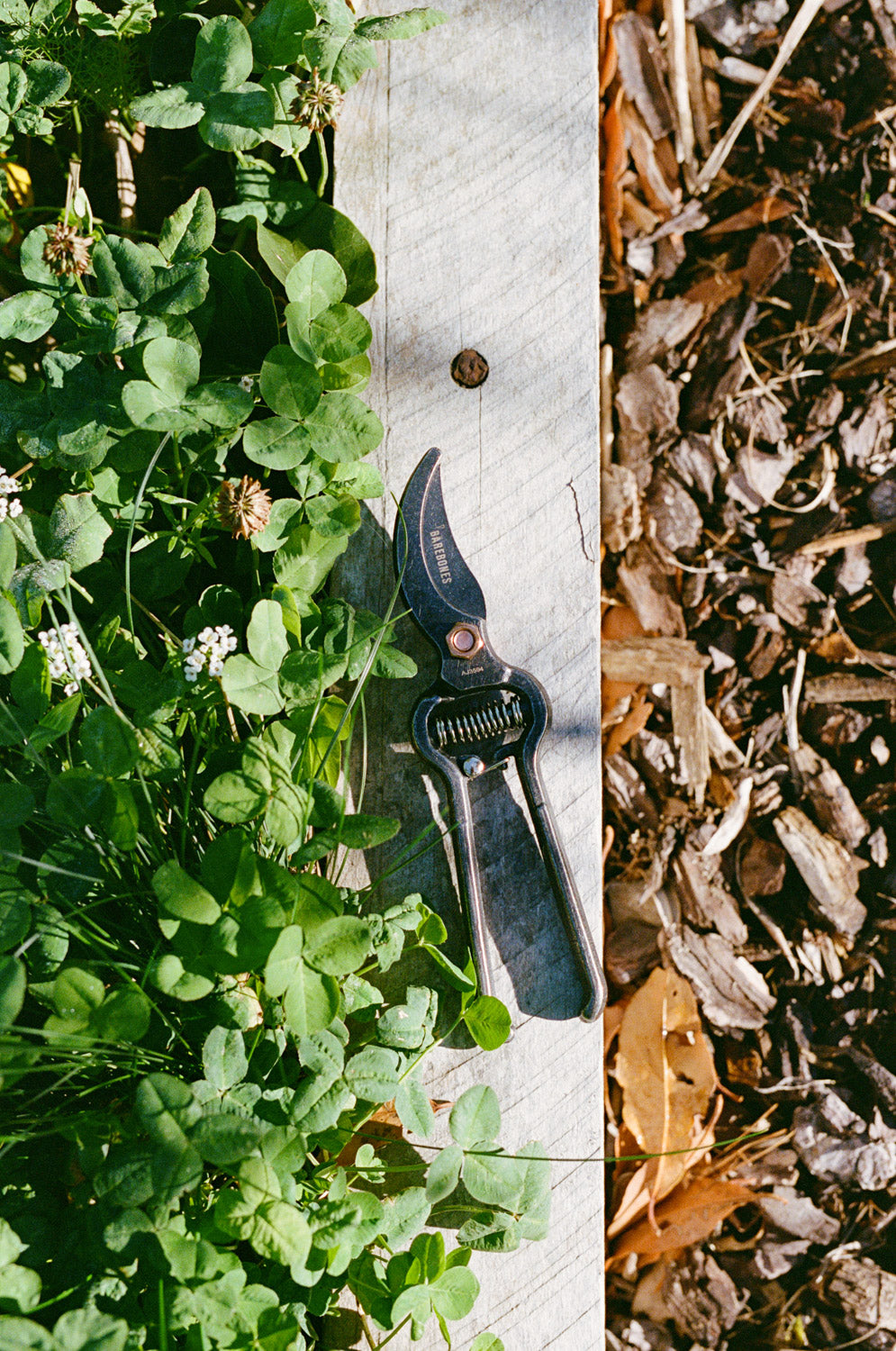Pruner with Sheath