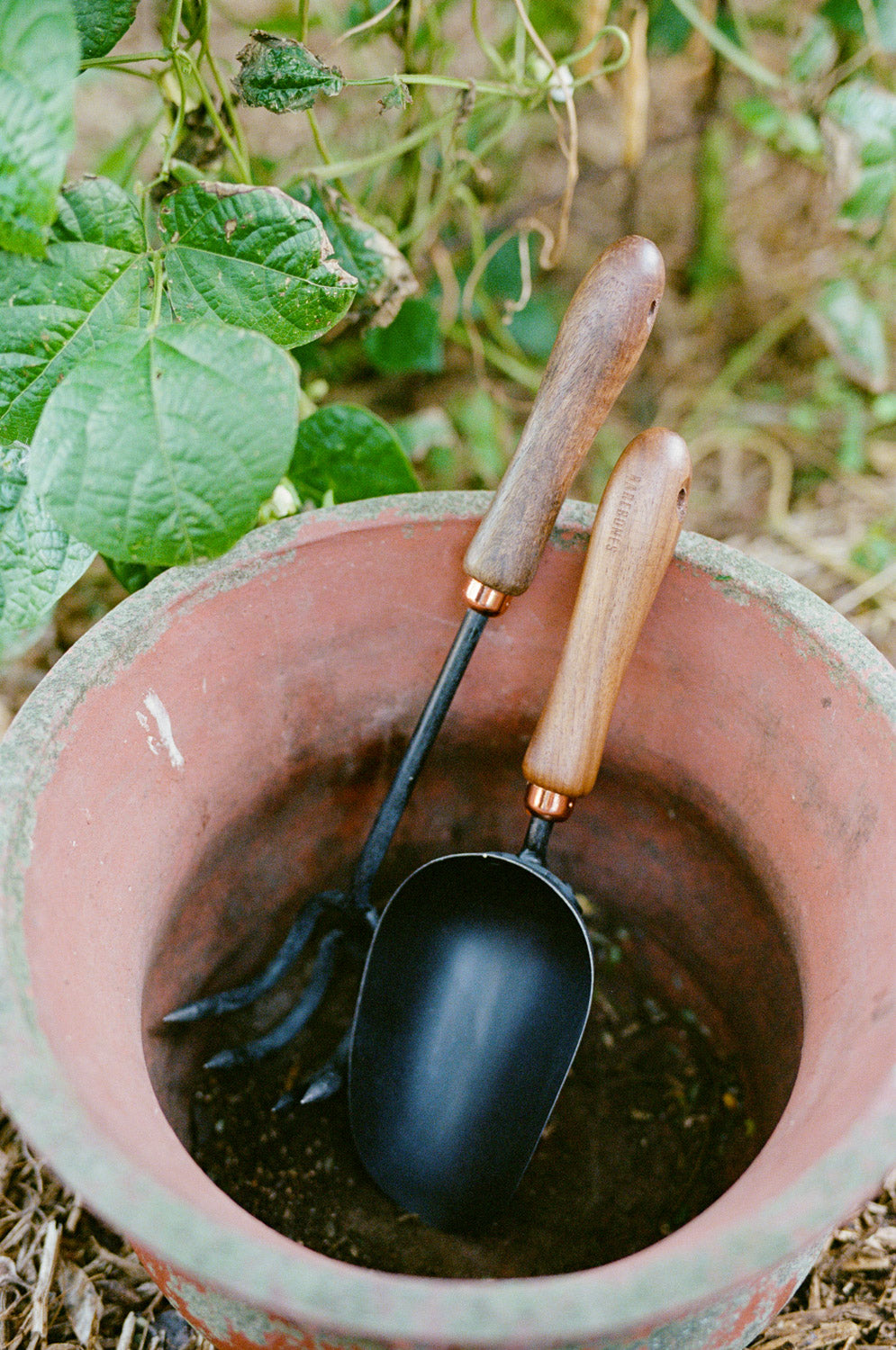 Walnut Cultivator // 4 Prong