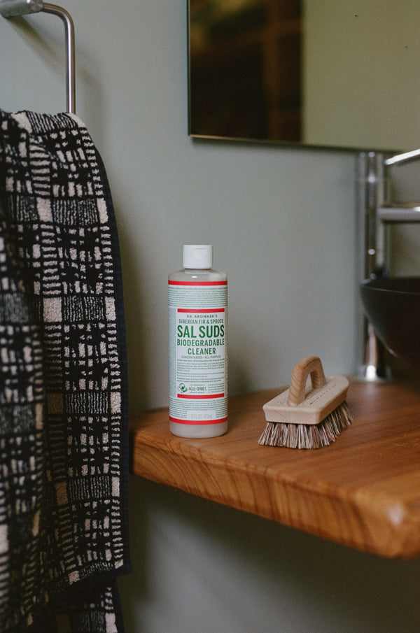 Scrubbing Brush