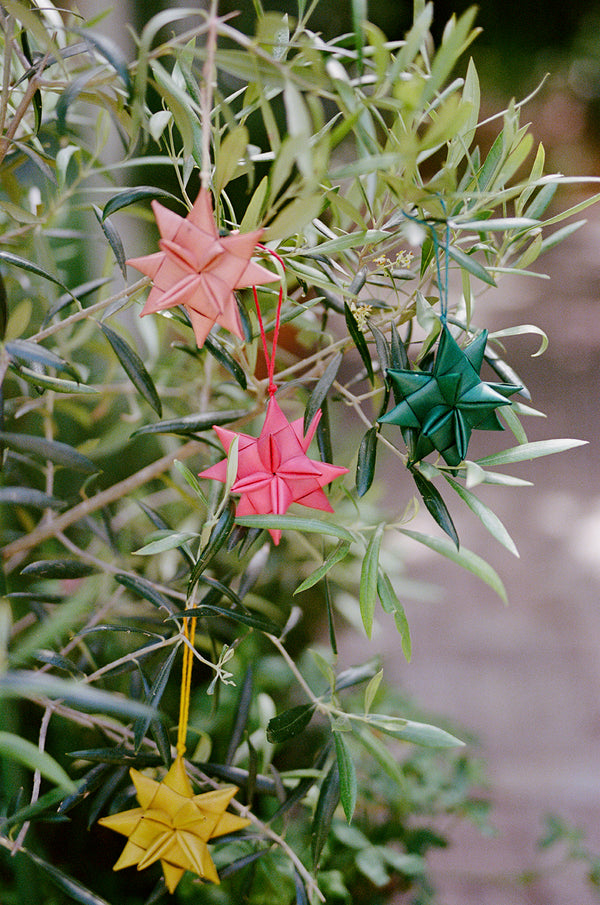 Palm Flowers Decoration // Multi