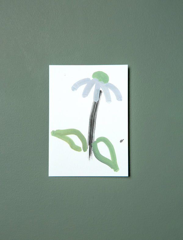 Echinacea Greeting Card