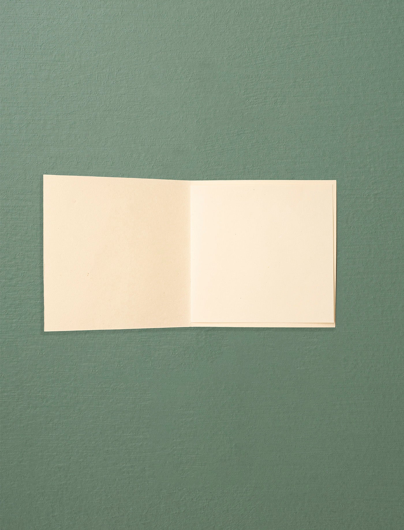 Jute Paper Note Card // Plant