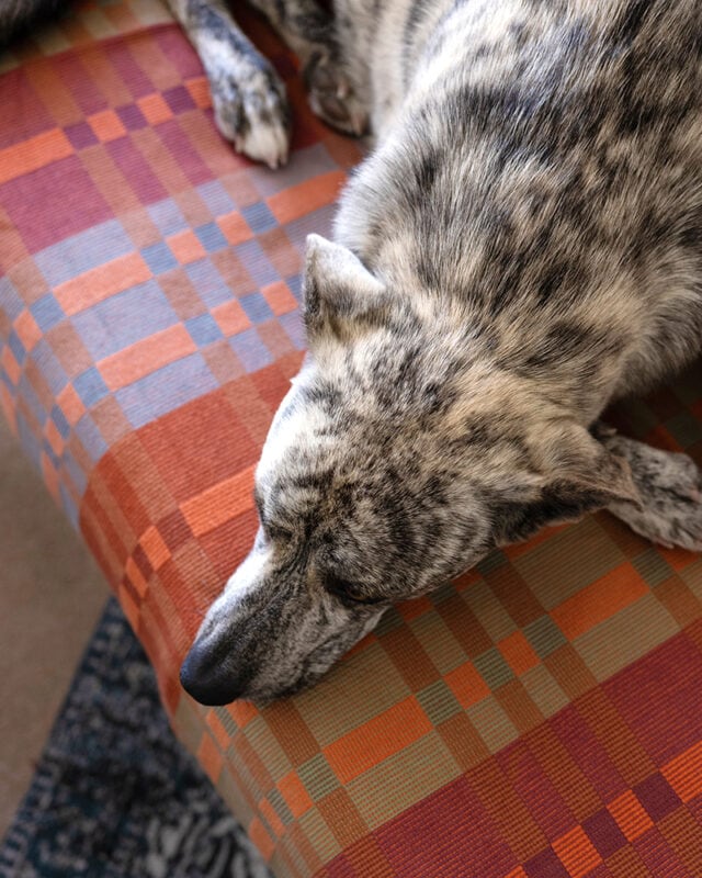 Fido Dog Blanket // Ginger