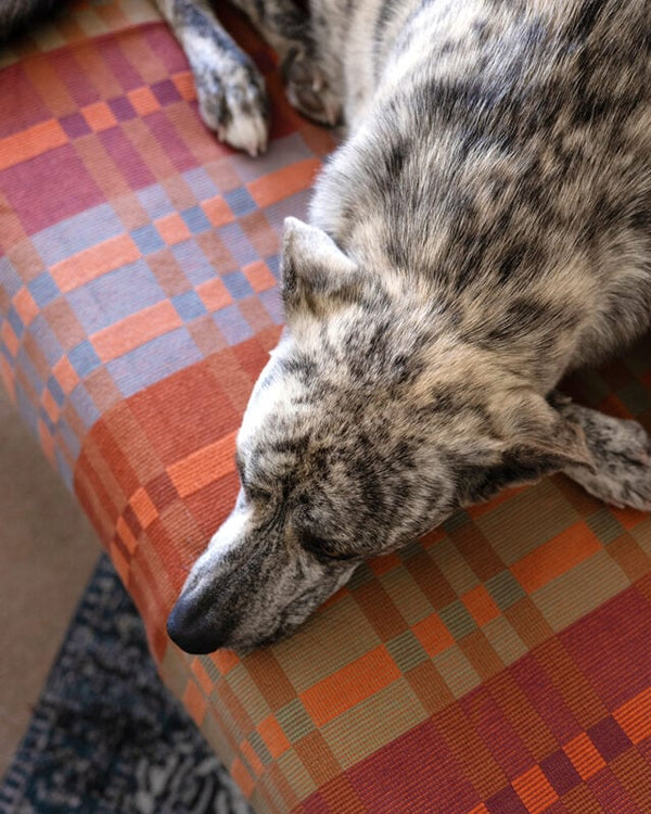 Fido Dog Blanket // Ginger