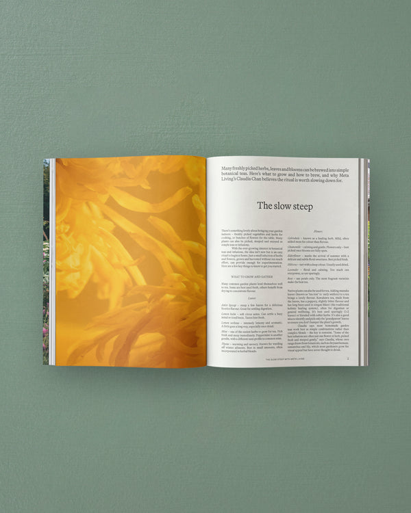Sage Vol. 2: Our Creative Nature