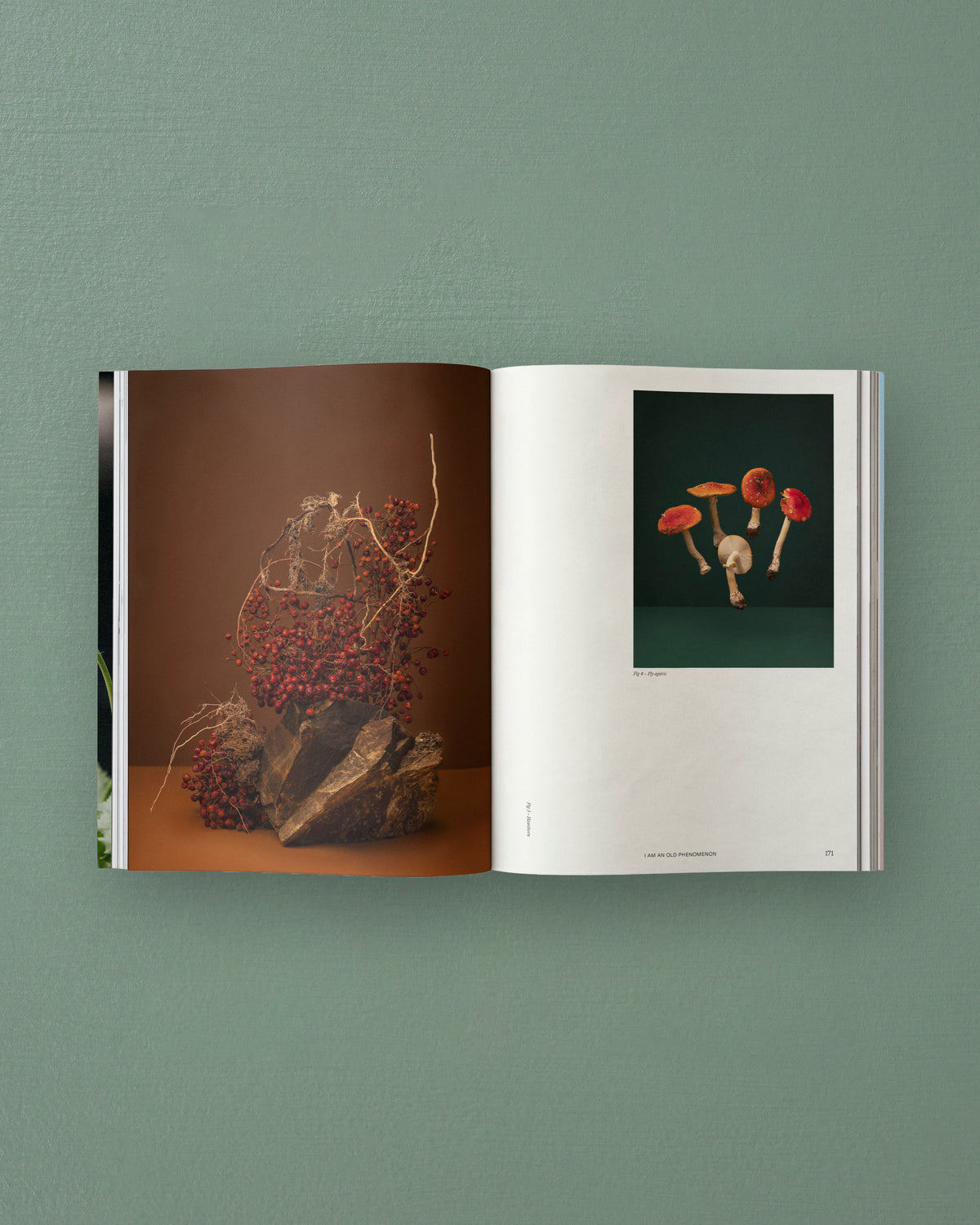 Sage Vol. 2: Our Creative Nature