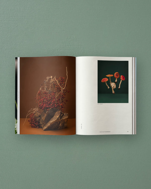 Sage Vol. 2: Our Creative Nature
