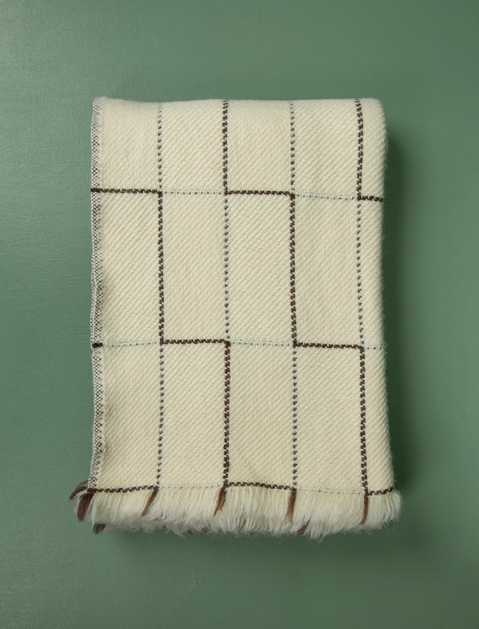 Shop // New & Back in Stock