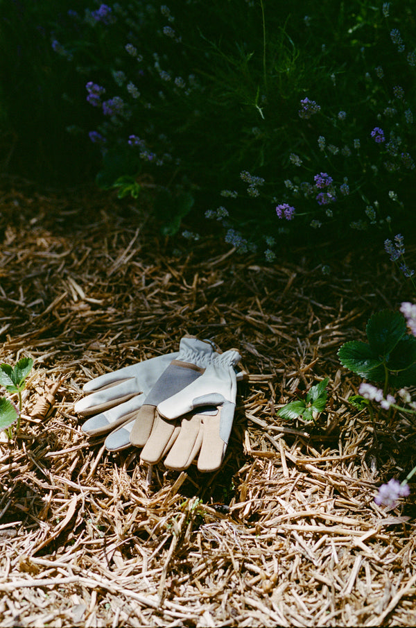 Leepa Garden Gloves