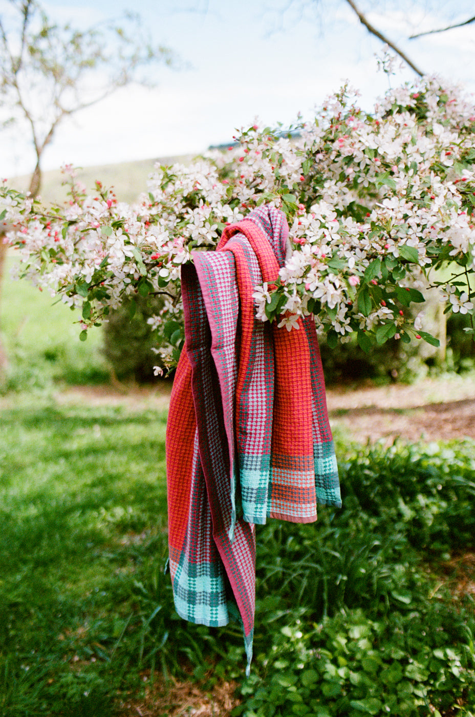 Scout Towel // Ladybug