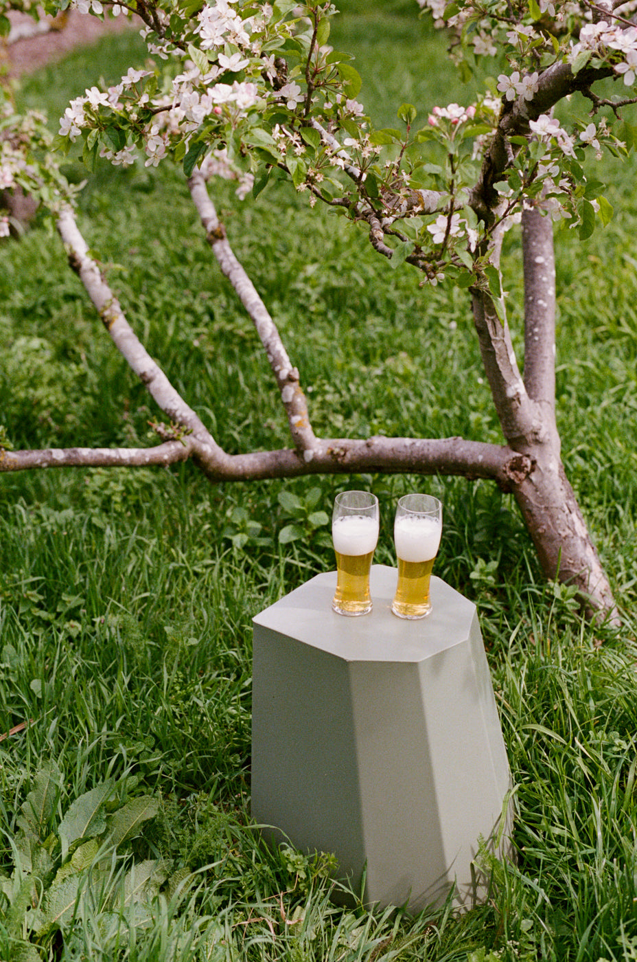 Japanese Beer Glass Gift Set