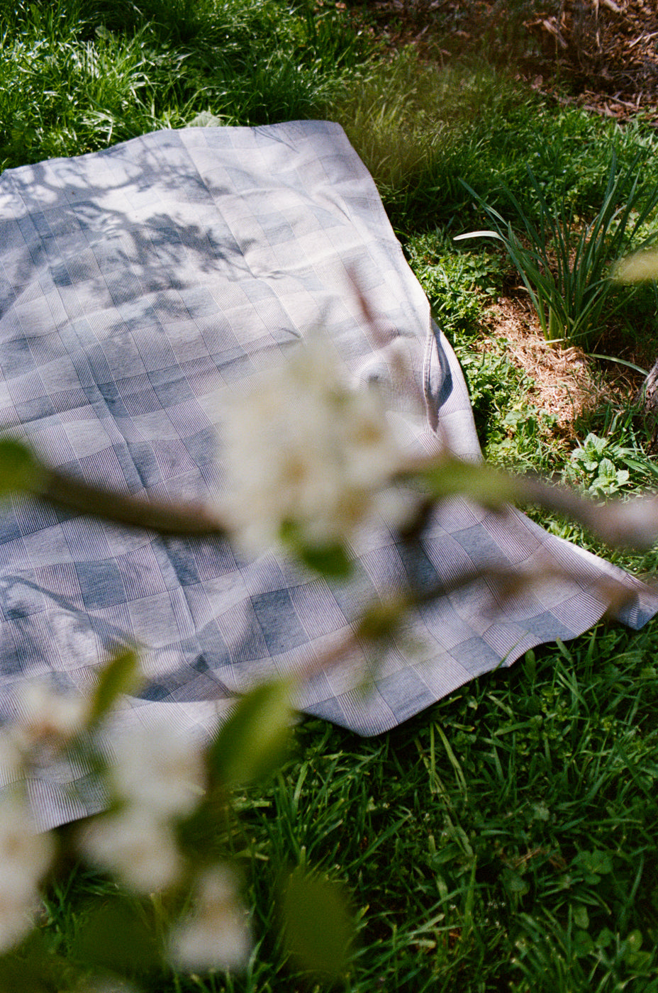 Picnic Blanket // Plum