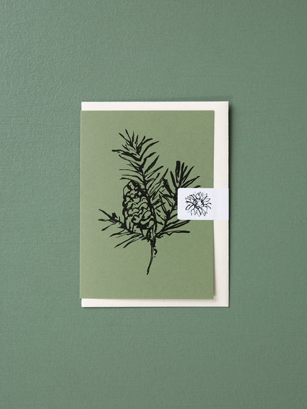 Balsam Fir Greeting Card