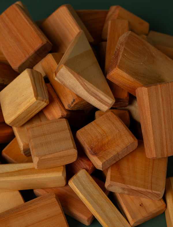 Wooden Play Shape Blocks