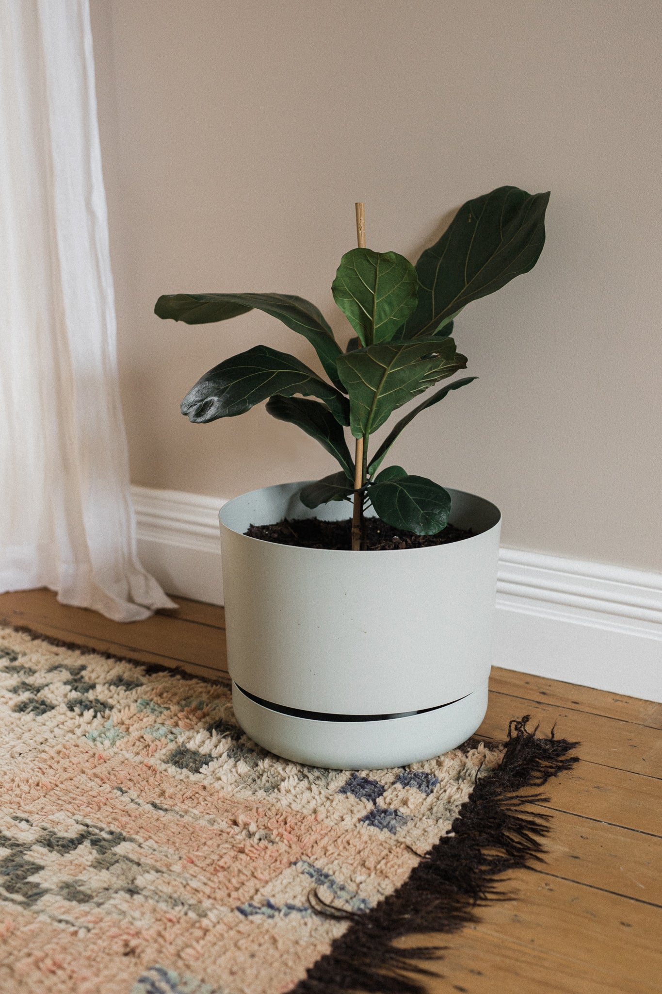 Self Watering Plant Pot // Fog