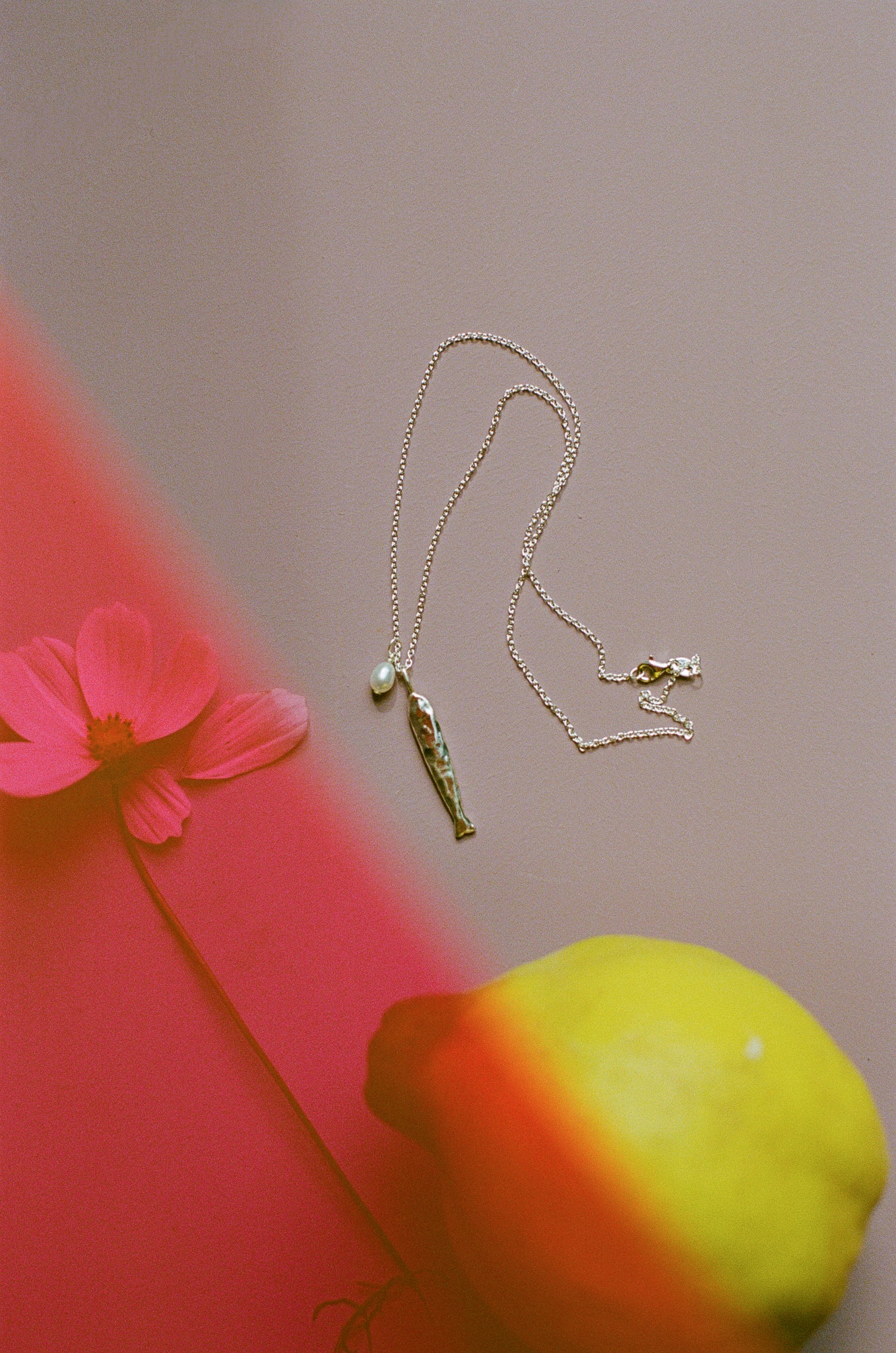 Journal // Prairie Studio