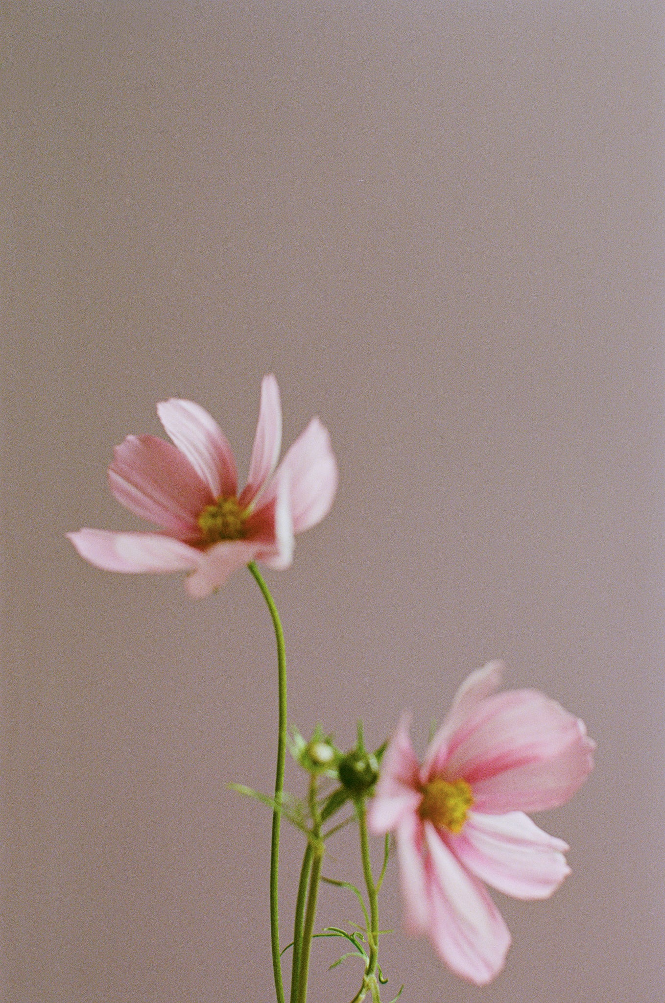 Journal // Prairie Studio