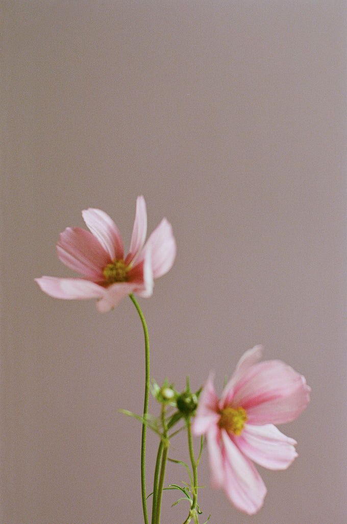 Journal // Prairie Studio
