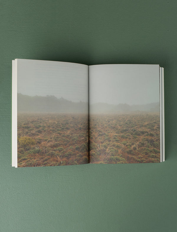 Meditations of a Landscape Architect