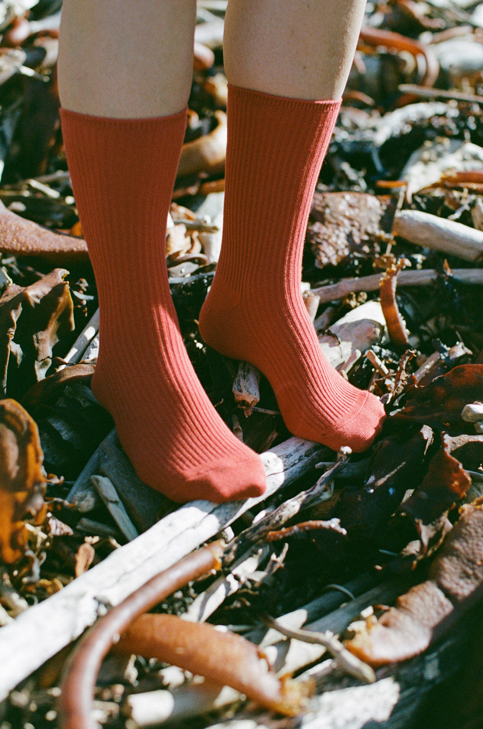 Cotton Ribbed Socks // Rust