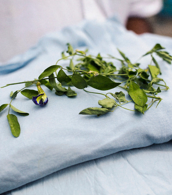 Underwire Bra // Powder Blue