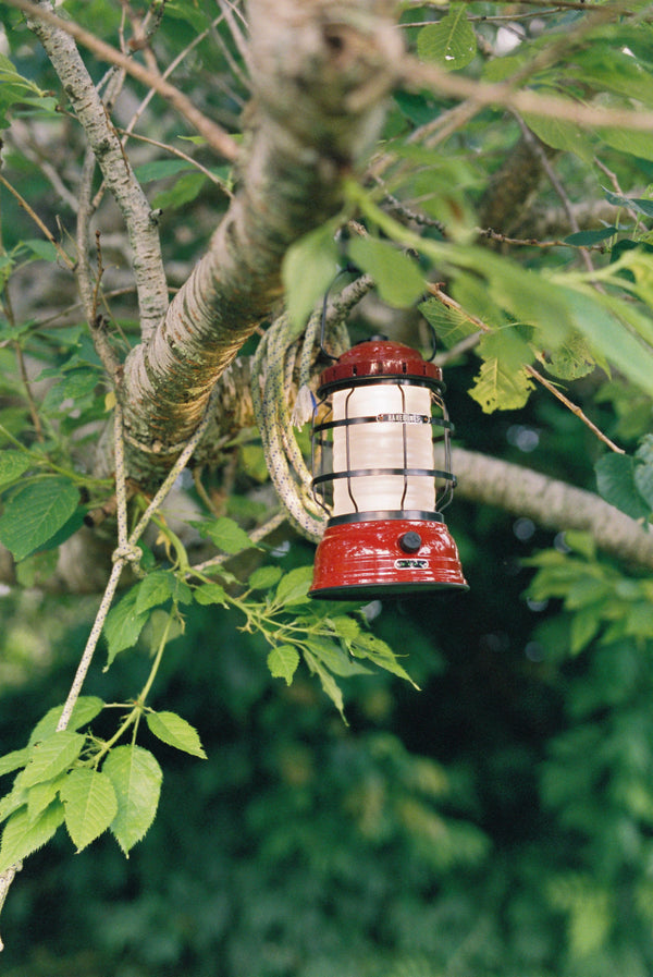 Forest Lantern // Red