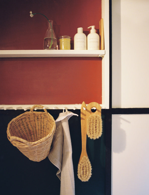 Long Handled Bath Brush