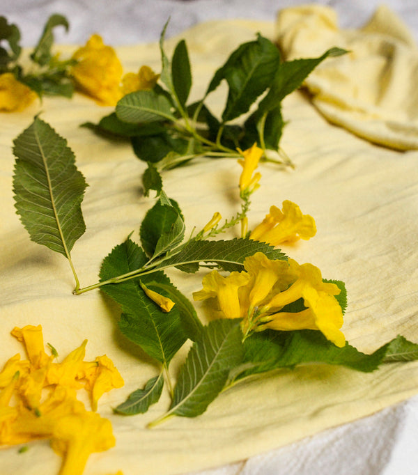 Underwire Bra // Powder Blue