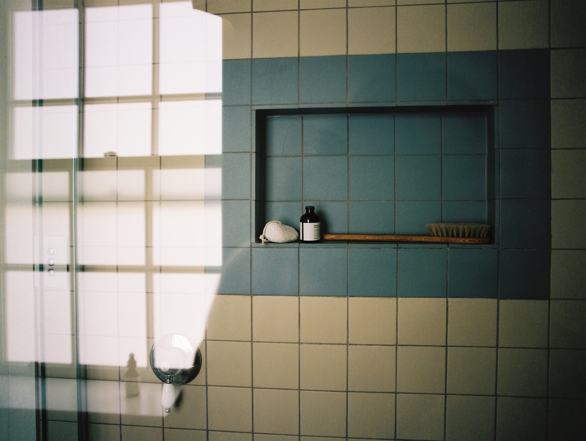 Long Handled Bath Brush