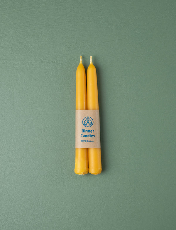 Short Dinner Candles // Beeswax