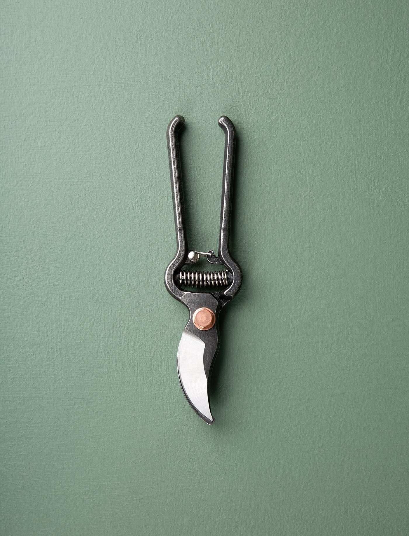 Pruner with Sheath