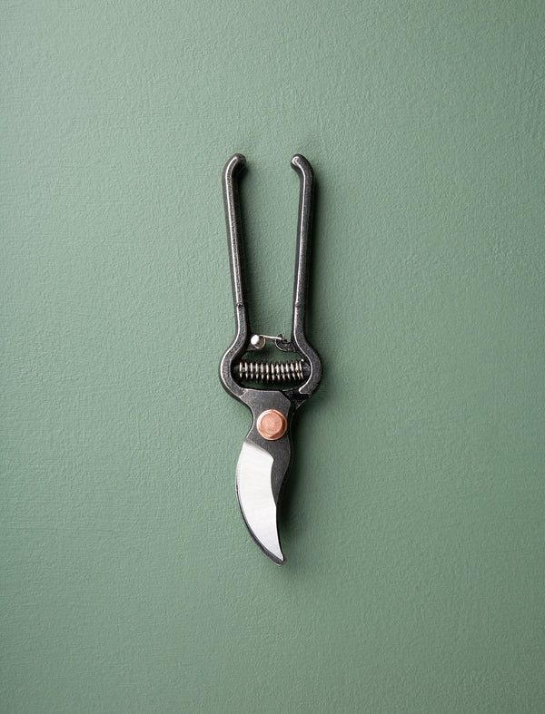 Pruner with Sheath